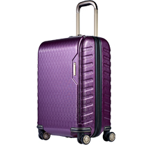 时尚格纹22吋登机箱紫色